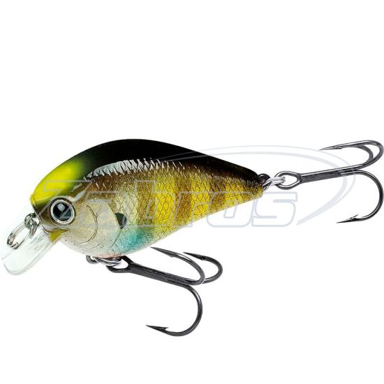 Фотография Lucky Craft Fat CB BDS 1, 4,9 см, 7 г, 0,3 м, FATCBBDS1-175FFKB