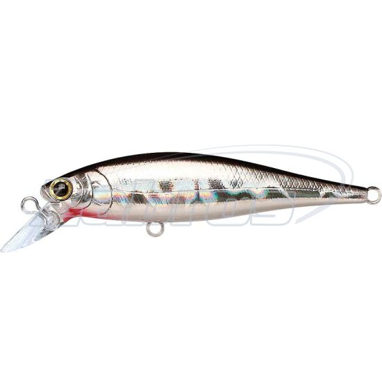 Фото Lucky Craft Pointer 65SP, 6,5 см, 5 г, 1 м, PT65-834BFSLV