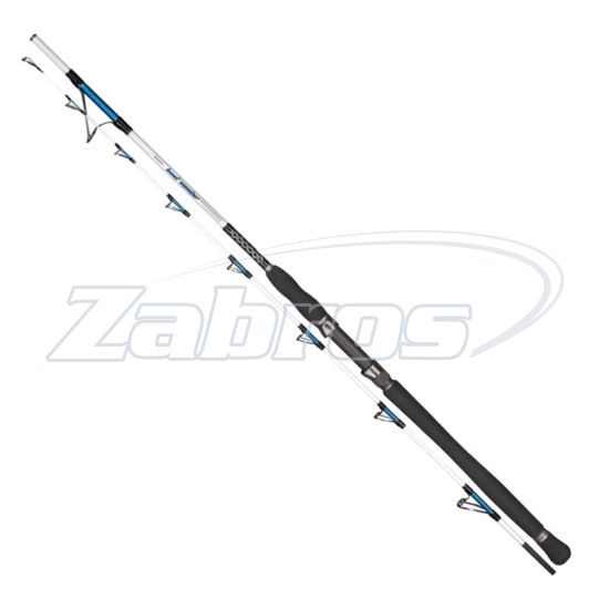 Фото Dragon Boat Master Jig, 24-70-200, 2 м, 40-200 г