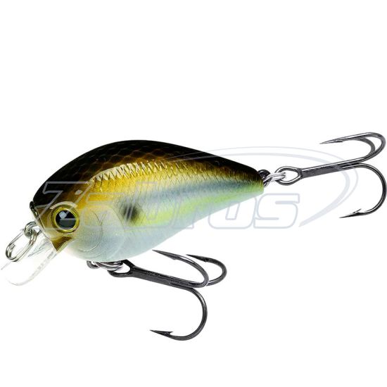 Фотография Lucky Craft Fat CB BDS 1, 4,9 см, 7 г, 0,3 м, FATCBBDS1-318GZSD