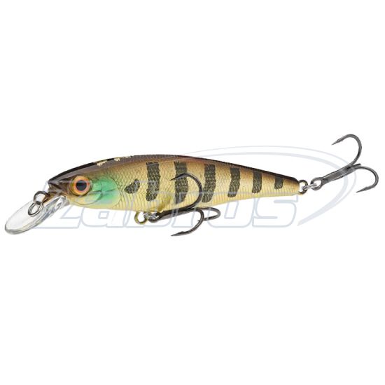 Фото Bearking Squad Minnow 65SP, 6,5 см, 6 г, 1 м, E