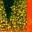 Glitter Perch