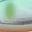 SY07 SY07