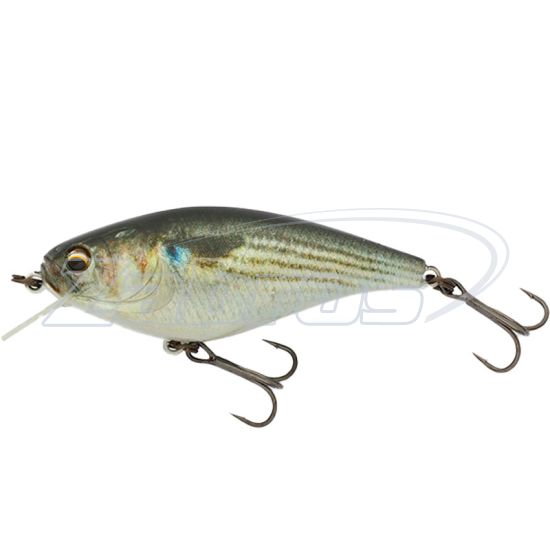 Фото Imakatsu Gekiasa Shad 58SF, 5,8 см, 7 г, 0,5 м, 888