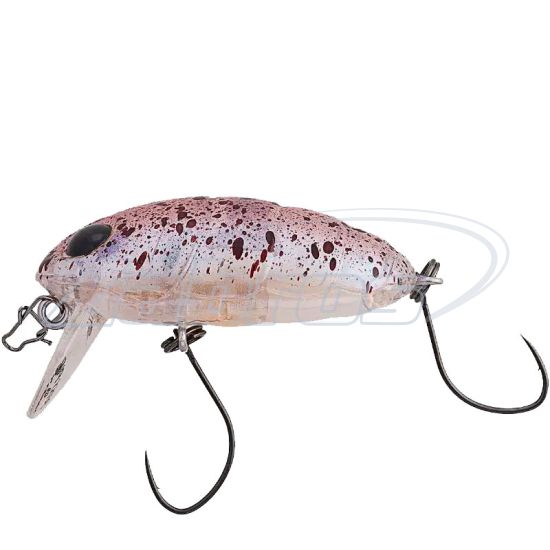 Фото Nories Crankin Boss Pupa Shallow, 4 см, 5,6 г, 0,6 м, 345