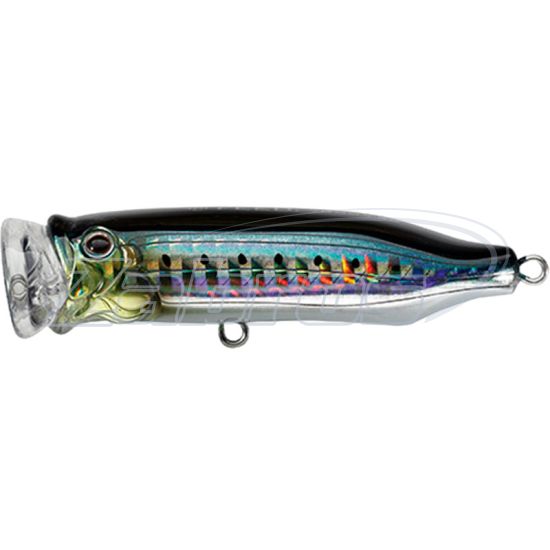 Фото Tackle House Contact Feed Popper 70CFP, 7 см, 9,5 г, SHG Sardine