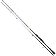 Спінінг Daiwa Prorex X Extra Fast Spin, 11286-205, 2,05 м, 20-60 г, купити, ціна, Київ, Україна | Zabros