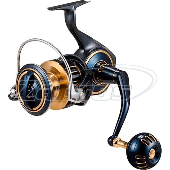 Фотография Daiwa 25 Saltiga, 10313-080, 8000-P