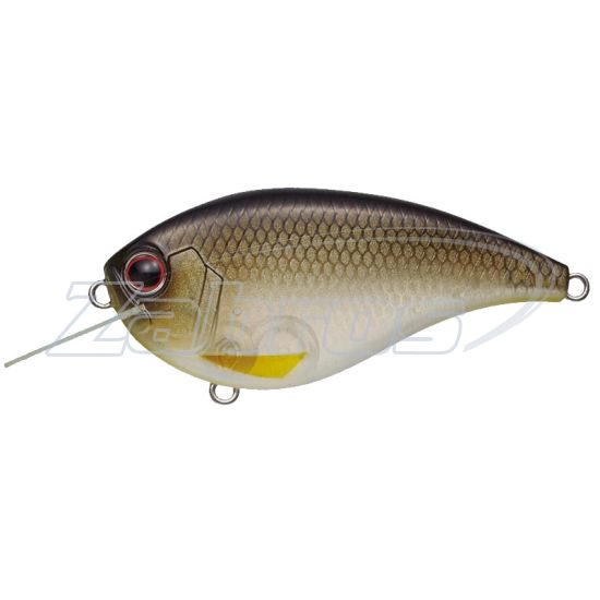 Фото Ever Green Flat Force, 6,2 см, 11,5 г, 1,5 м, 365