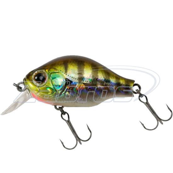 Фото ZipBaits B-Switcher 1.0 45F, Silent, 4,5 см, 6,8 г, 1,5 м, 509