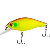 Воблер X-Fish Chipotel 50F, 5 см, 6 г, 1,5 м, 004, купить, цена, Киев, Украина | Zabros