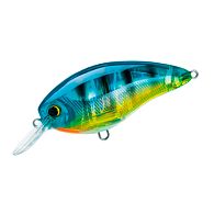 Воблер Yo-Zuri 3DS Crank SR 50F, 5 см, 8 г, 1 м, F1139-HBG, купить, цена, Киев, Украина | Zabros