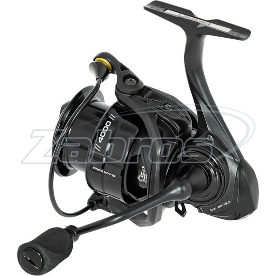 Фотография Brain Black Pond, 4000