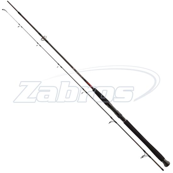 Фото Daiwa Exceler Catfish Spin, 11819-241, 2,40 м, 185 г