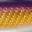 Violet Gold