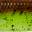 Chartreuse Pumpkin Chartreuse Pumpkin