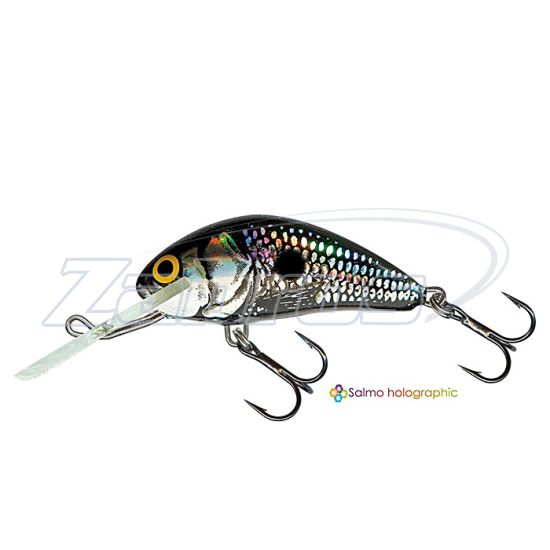 Фото Salmo Hornet, 3,5 см, 2,2 г, 1,5 м, H3F-BSS