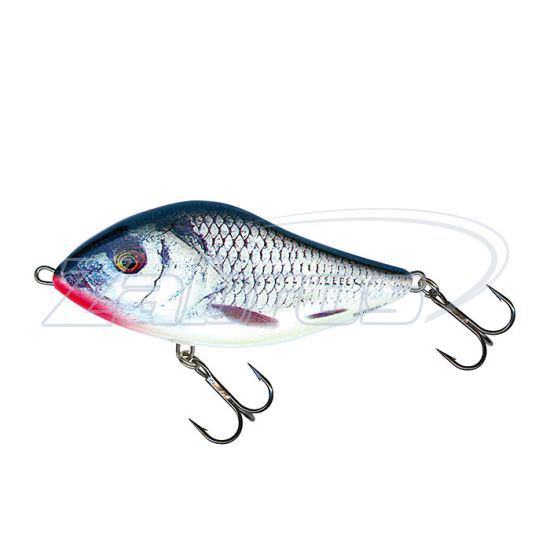 Фото Salmo Slider, 10 см, 46 г, 1 м, SD10S-RGS