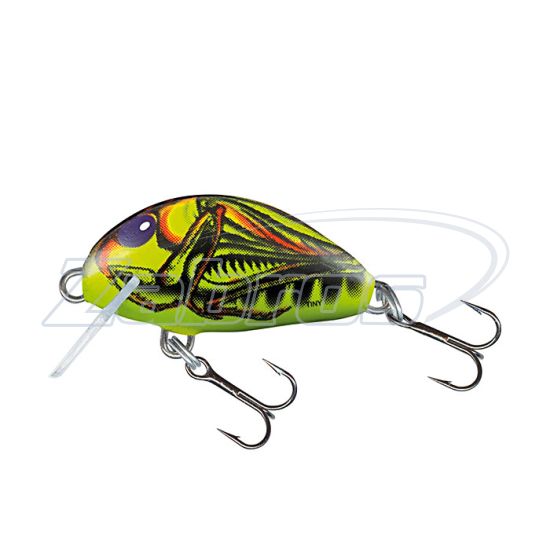 Фото Salmo Tiny, 3 см, 2 г, 0,5 м, IT3F-GRH