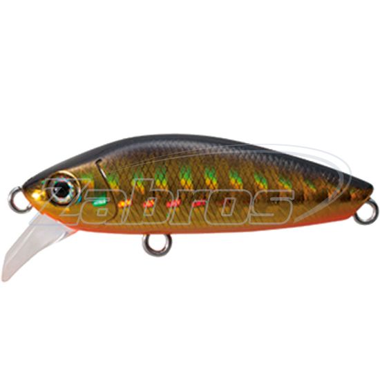 Фото Tackle House Shores Tiro Minnow 44S, 4,4 см, 4,8 г, Gold Black Orange Belly
