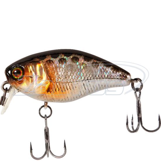 Фото Jackall Cherry One Footer 46F, 4,6 см, 7,2 г, 0,3 м, HL Silver & Black Фото Jackall Cherry One Footer 46F, 4,6 см, 7,2 г, 0,3 м, HL Silver & Black