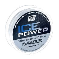 Леска Team Salmo Ice Power, TS4924-008, 0,08 мм, 0,52 кг, 50 м, купить, цены в Киеве и Украине, интернет-магазин | Zabros