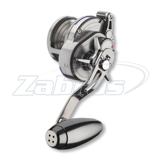 Фото Daiwa Saltiga NL-SJ, 10719-035, 35NL-SJ