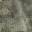 Hex Camo Loden