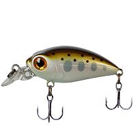 Воблер Smith Camion Magnum SR, 3,6 см, 3,1 г, 0,5 м, 01, купити, ціна, Київ, Україна | Zabros