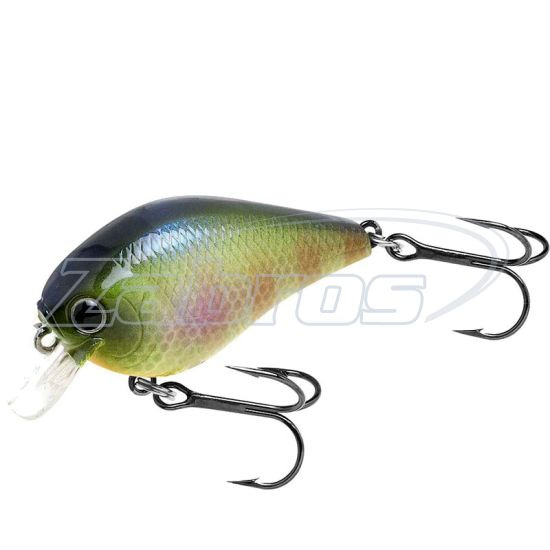 Фотография Lucky Craft Fat CB BDS 1, 4,9 см, 7 г, 0,3 м, FATCBBDS1-269BEGL