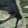 Riparian Camo