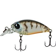 Воблер Smith Camion Magnum SR, 3,6 см, 3,1 г, 0,5 м, 06, купити, ціна, Київ, Україна | Zabros