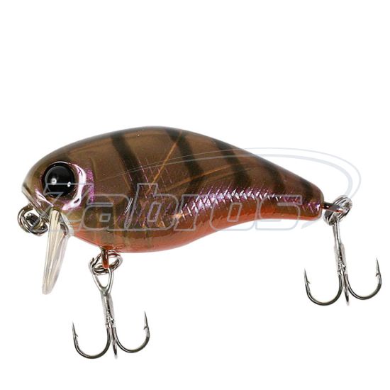 Фото Jackall Chubby 38 SSR, 3,8 см, 4,2 г, 0,3 м, Brown Suji Shrimp