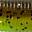 GP Chartreuse UV GP Chartreuse UV