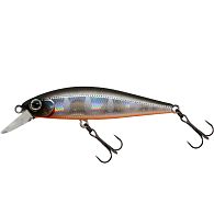 Воблер ZipBaits Rigge Flat 50S, 5 см, 5,3 г, 916, купить, цены в Киеве и Украине, интернет-магазин | Zabros