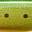 Glx Green Back Chart