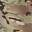Multicam