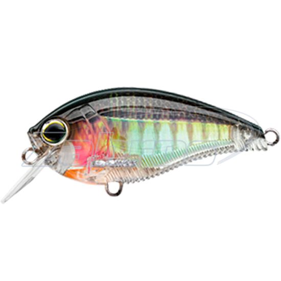 Фото Воблер Yo-Zuri 3DB Crank 1,5 MR 60F, 6 см, 13,5 г, 2,5 м, R1353-RBG