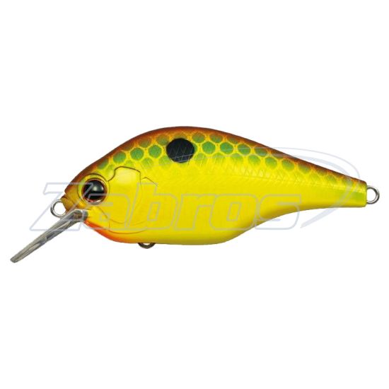 Фото Ever Green Zeruch, 7,2 см, 19,5 г, 1,5 м, 361