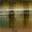 Biwako Clear Gill