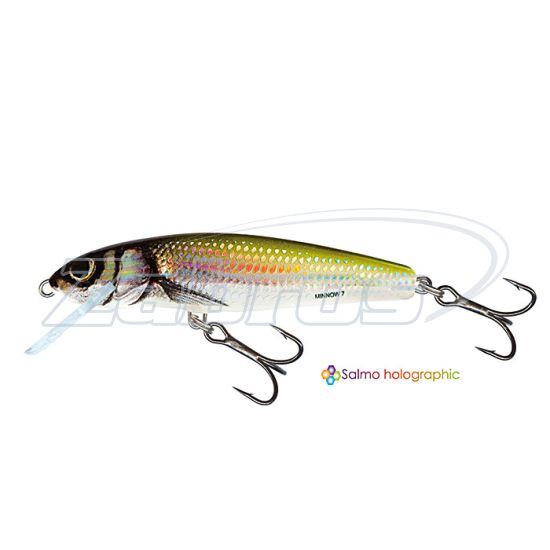 Фото Salmo Minnow, 5 см, 3 г, 1 м, M5F-HBL