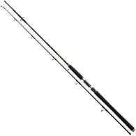 Човнове вудилище Daiwa 20 BG Offshore Boat, 11906-246, 2,4 м, 150-400 г, купити, ціна, Київ, Україна | Zabros