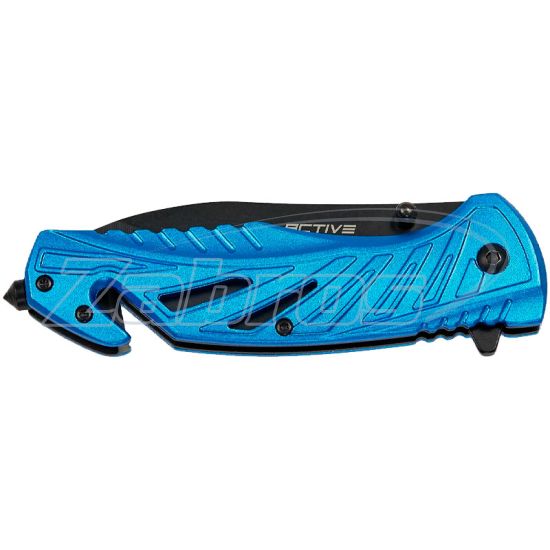 Картинка Active Horse, Blue