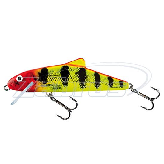 Фото Salmo Skinner, 10 см, 15 г, 1,5 м, SK10F-CYP