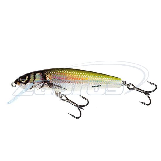 Фото Salmo Minnow, 6 см, 4 г, 1 м, M6F-HBL