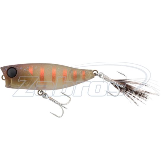 Фото Jackall Chubby Popper 42F, 4,2 см, 3,3 г, Shimashima Cricket