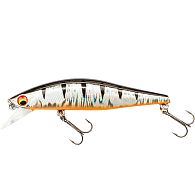 Воблер Daiwa Tournament Wise Minnow 50FS, 16711-215, 5 см, 5,2 г, Aurora Zebra, купити, ціна, Київ, Україна | Zabros