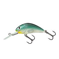 Воблер Salmo Hornet, 5 см, 7 г, 3 м, H5F-GBH, купить, цена, Киев, Украина | Zabros