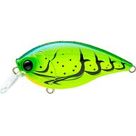 Воблер Duel Hardcore Crank SR 65F, 6,5 см, 14 г, 1,5 м, R1363-SCF, купити, ціна, Київ, Україна | Zabros