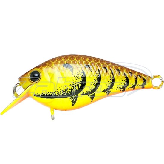 Фото Lucky Craft LC 0.3, 3,8 см, 3 г, 0,3 м, LC-0-3-514ACBCR Фото Lucky Craft LC 0.3, 3,8 см, 3 г, 0,3 м, LC-0-3-514ACBCR